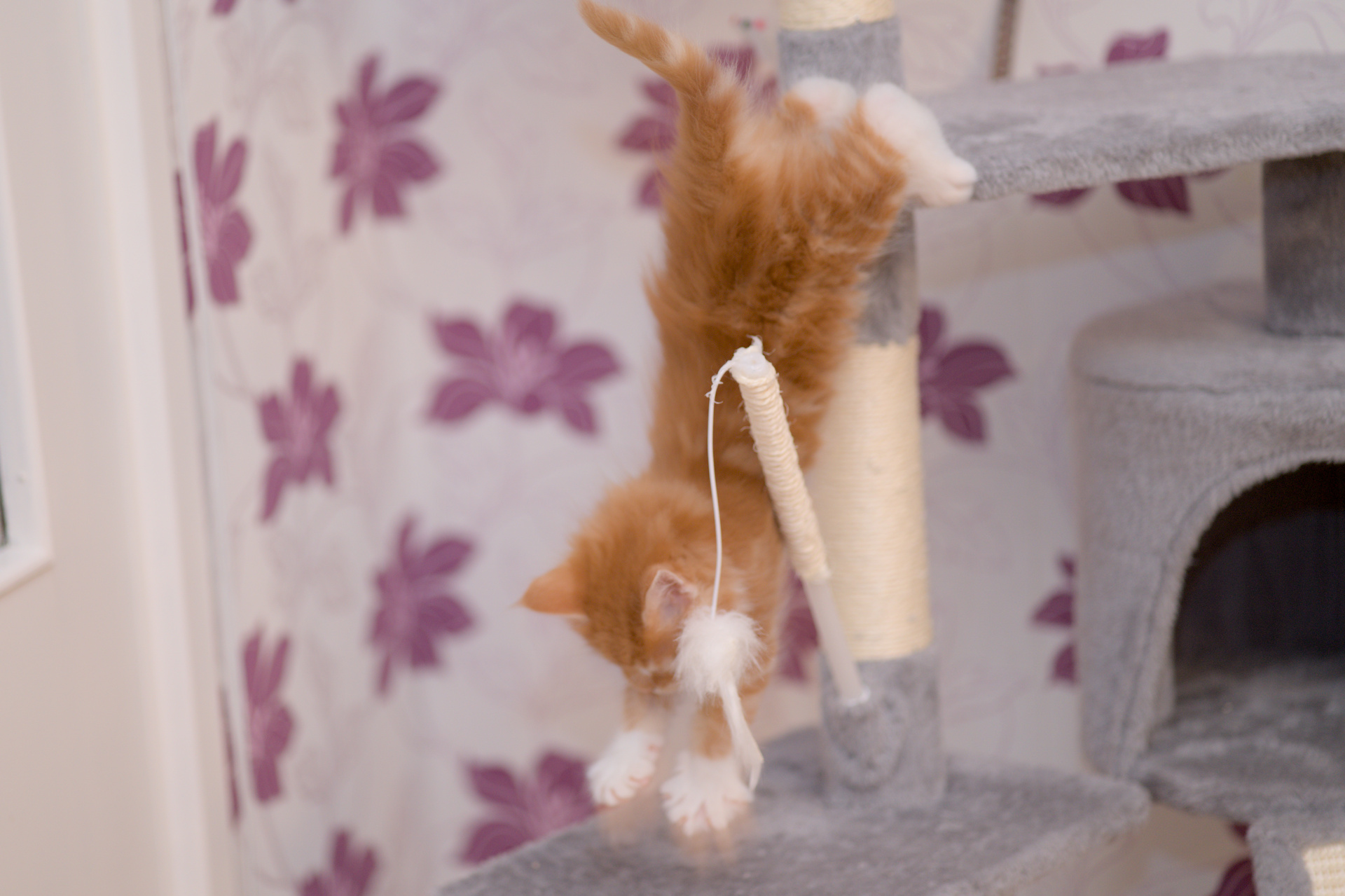 Full fart